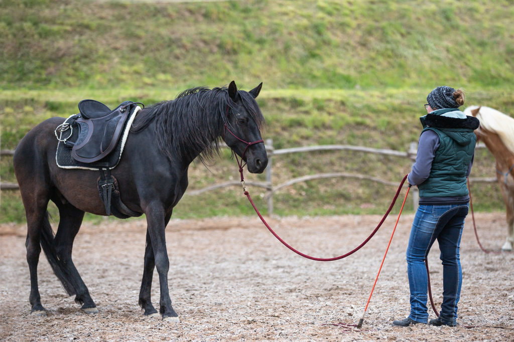 Michelle und Malik bei der Bodenarbeit Michelle und Malik bei der Bodenarbeit