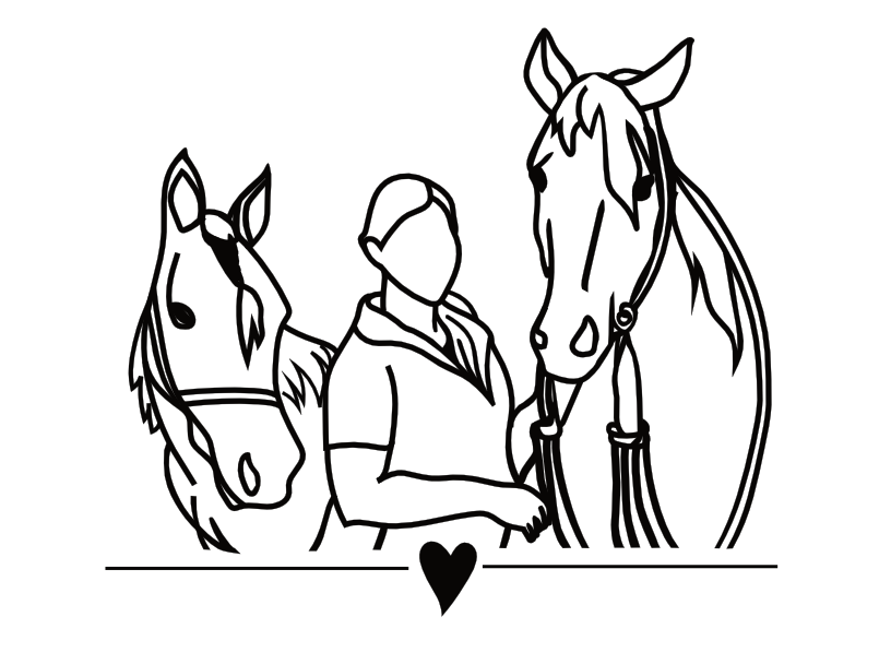 MM Natural Horsemanship